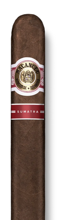 Macanudo Sumatra
