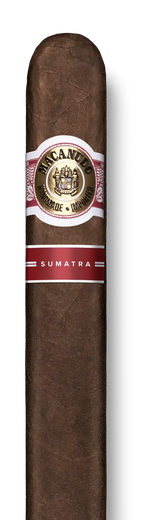 Macanudo Sumatra